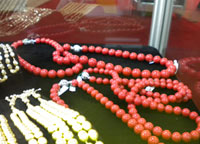 fu26 2010 CNR FUAR